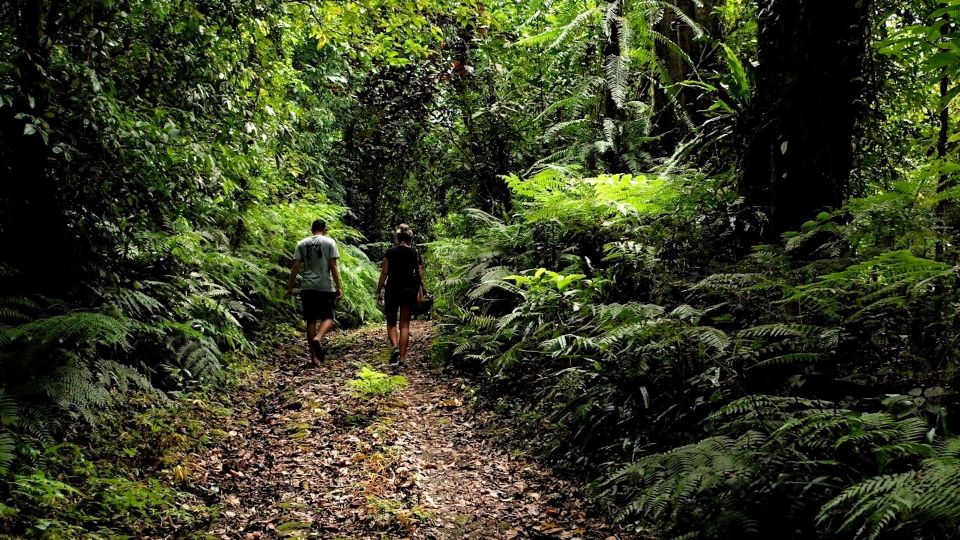 Bali: Half-Day Bayad Eco Hike - Reviews