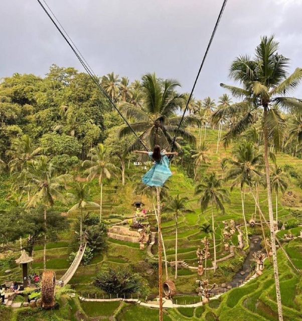 Bali: Hidden Waterfalls Tour and Swing Experience in Ubud - Activity Highlights