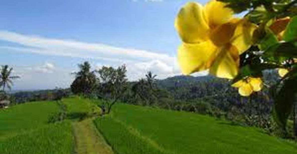 Bali: Hill Side Lemukih Treeking With Amazing View - Location and Itinerary