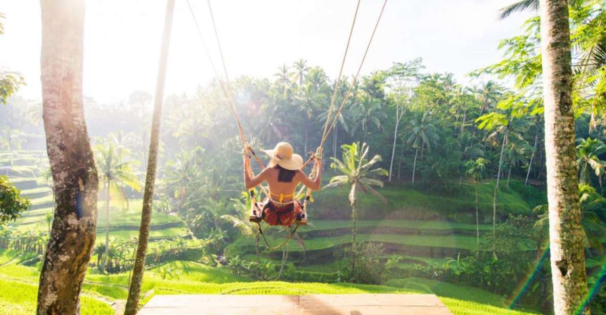 Bali: Jungle Swing and Ubud Tour - All Inclusive - Tour Itinerary Details