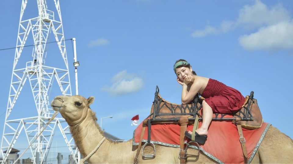 Bali: Kelan Beach Camel Rides Experiences - Meet the Camels at Kelan Beach