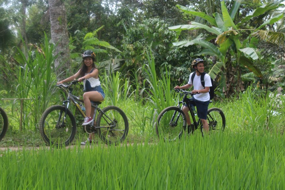 Bali: Kintamani Private Downhill Bike Tour & Local Culture - Tour Itinerary