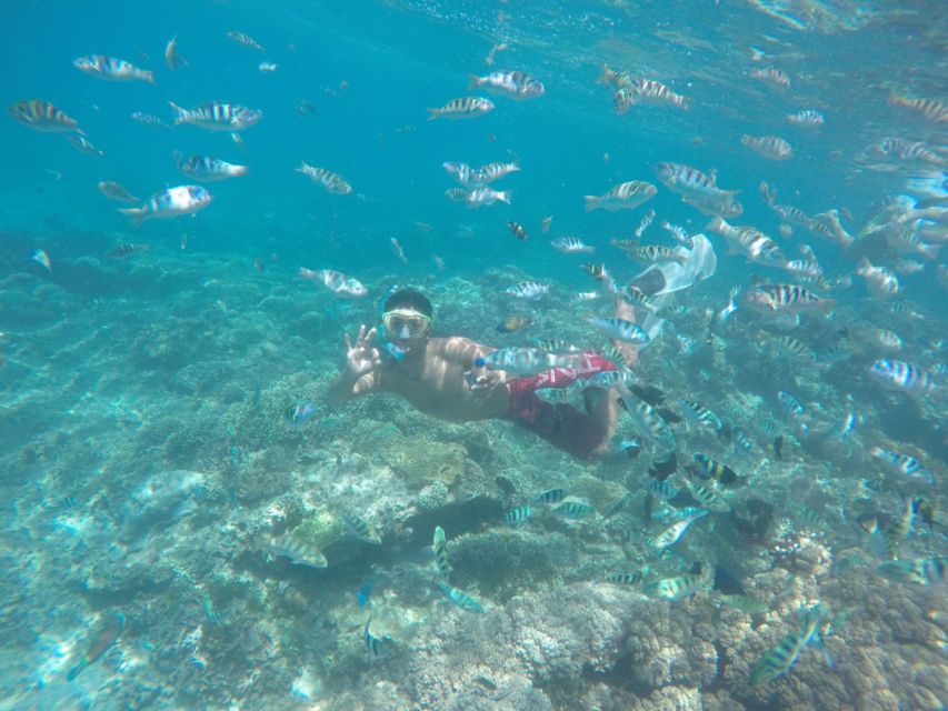 Bali: Labuan Amuk Snorkeling With Lunchbox - Customer Reviews