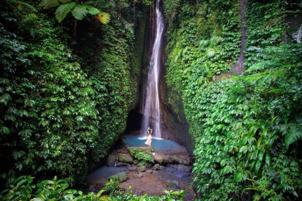 Bali: Monkey Forest, Leke-Leke Waterfall, Unesco Heritage - Tour Description