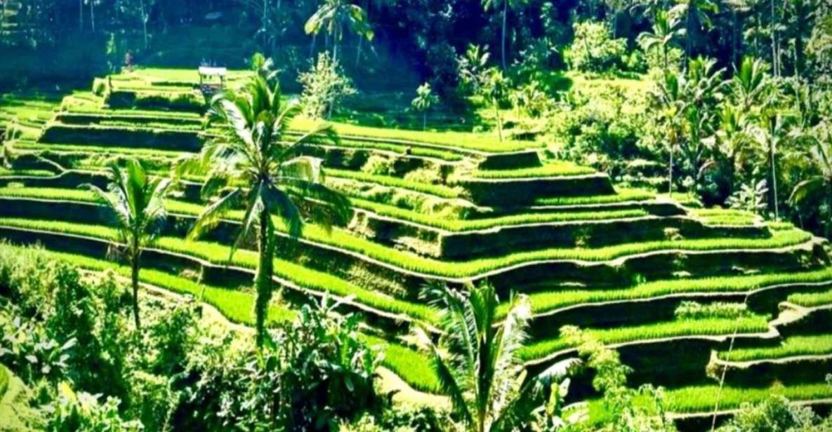 Bali: Personal Design Trips - Insider Tips for a Memorable Experience