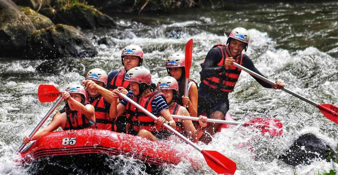 Bali Rafting Adventures and Ubud Day Trip - Professional English-Speaking Instructors