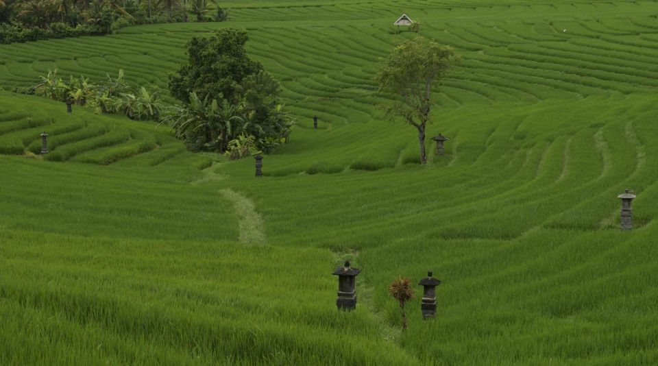 Bali: Secret and Untouristic Tour North West Bali. - Experience Highlights