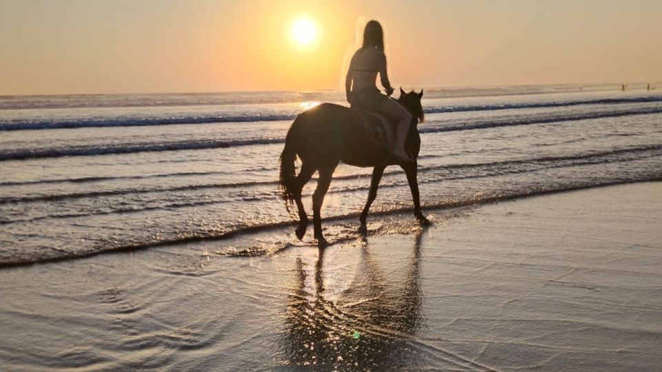 Bali: Seminyak Beach Horse Riding Experience - Inclusions