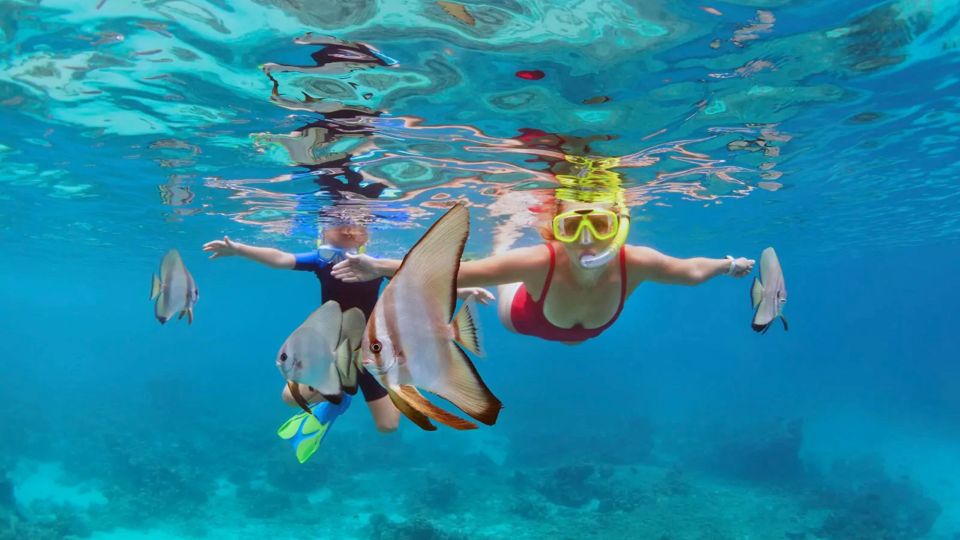 Bali: Snorkeling on 2 Spots With Lunch and Transport - Beachside Lunch Experience
