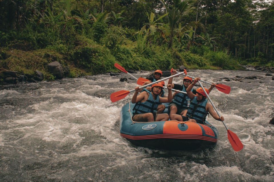 Bali : Telaga Waja River White Water Rafting Experience - Activity Highlights