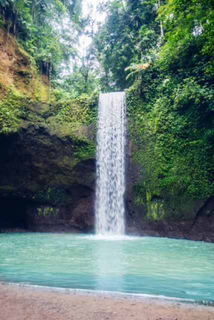 Bali: Ubud Monkey Forest & Waterfall - Customer Review