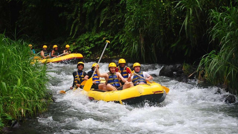 Bali White Water Rafting: Lunch & Private Transfer Included - Inclusions and Amenities Provided