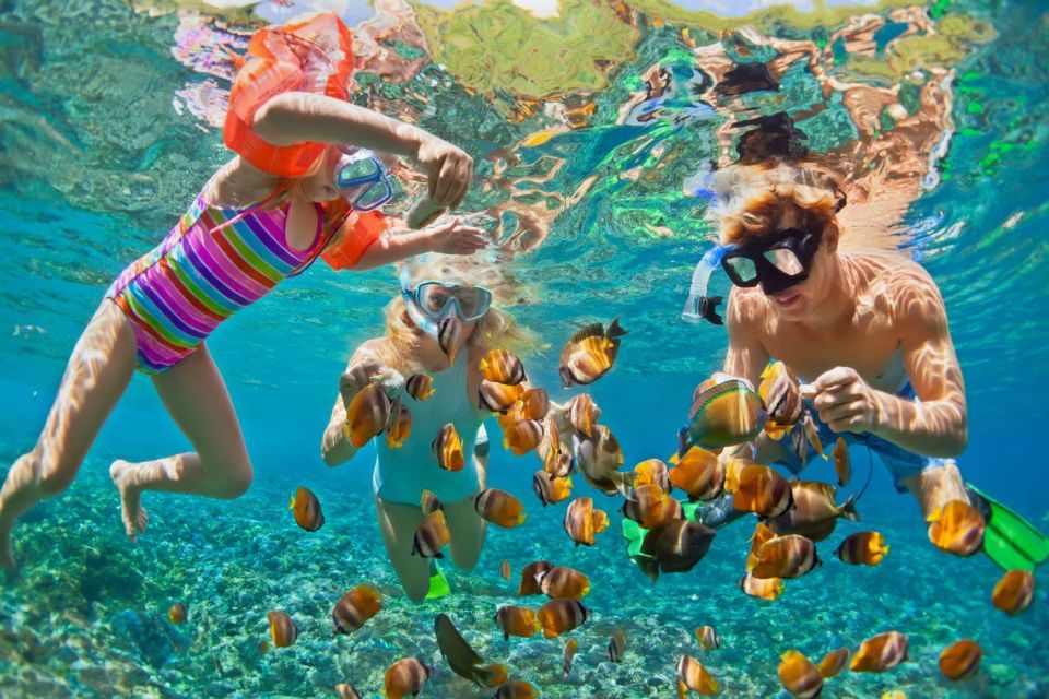Bali:Snorkeling at Blue Lagoon With Lunch & Transfer - Snorkeling Experience
