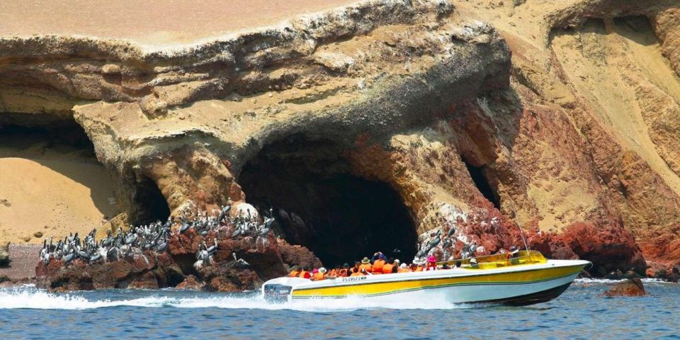 Ballestas Islands and Paracas Reserve - Full Day Escape - Witness Wildlife Wonders Up Close