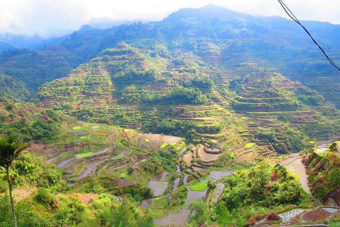 Banaue Rice Terraces Adventure (3 Days 2 Nights) From Manila*** - Trekking Adventures