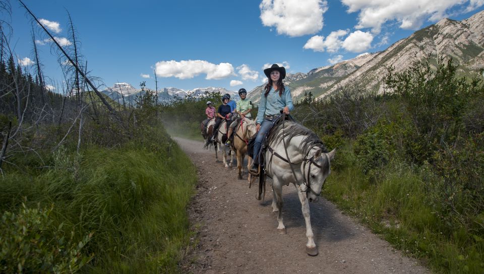 Banff: 3-Hour Bow Valley Loop Horseback Ride - Scenic Highlights and Location