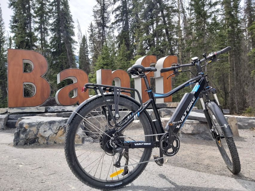 Banff: 4-Hour E-Bike and Walking Tour in Johnston Canyon - Reviews and Ratings Overview