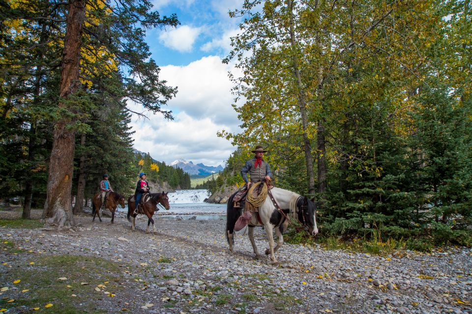 Banff: 4-Hour Sulphur Mountain Intermediate Horseback Ride - Important Information