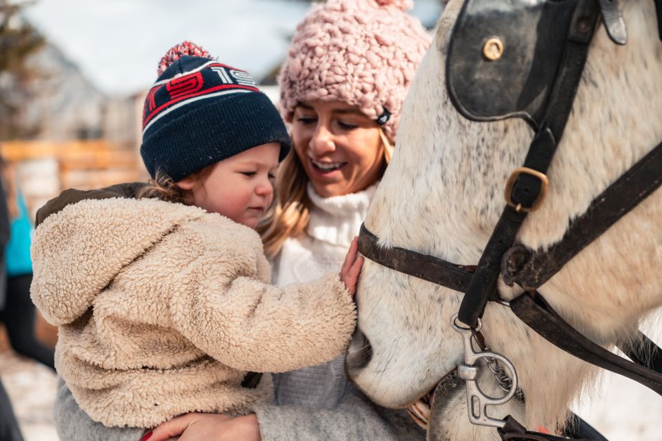 Banff: Family Friendly Horse-Drawn Sleigh Ride - Inclusions