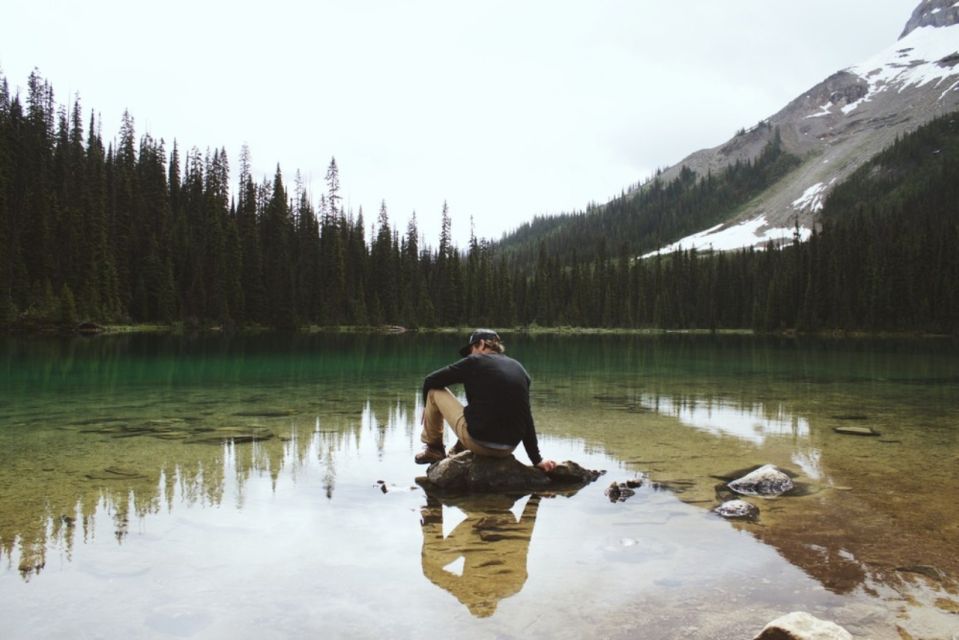 Banff: Go Chasing Waterfalls in Banff & Yoho National Parks - Customer Reviews