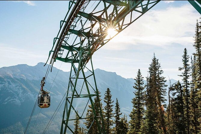 Banff Hot Springs - Gondola - Wildlife Tour From Calgary/Banff - Transportation Details