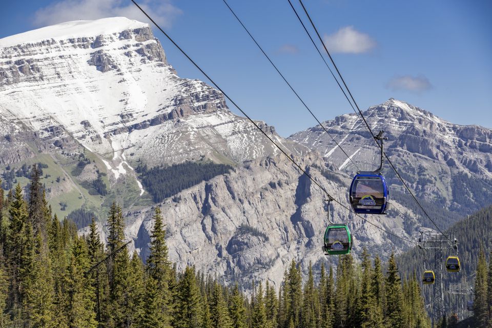 Banff: Sunshine Sightseeing Gondola and Standish Chairlift - Review Summary