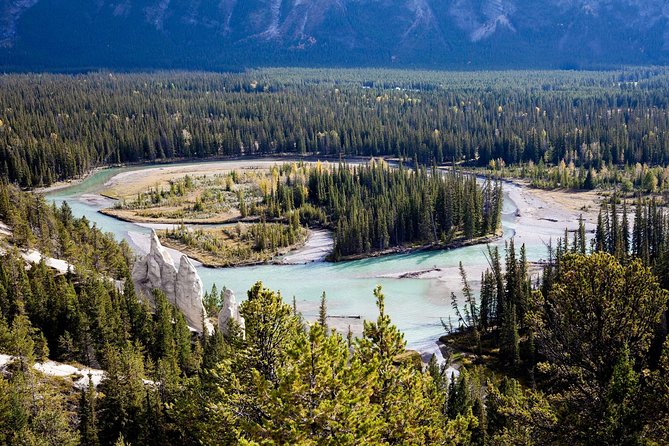 Banff Tour With Gondola & Lake Cruise - Roundtrip From Canmore - Customer Reviews