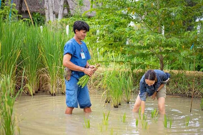 Bangkok Damnern Saduak Floating Market, Thai Cultural Workshop & Organic Village - Floating Market Adventure