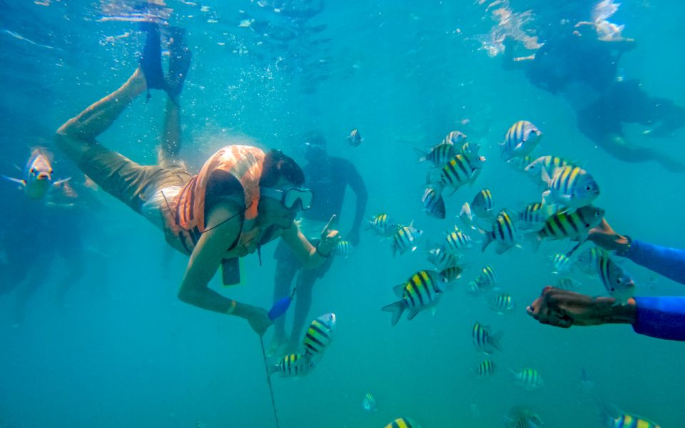 Baru Mangroves Tour Luminous Plankton - Booking and Payment Information