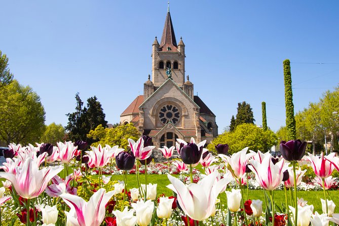 Basel Small-Group Photography Walking Tour With a Local Guide (Mar ) - Meeting Details