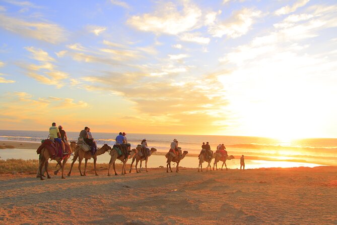 Beach Camel Ride & Encounter in Cabo by Cactus Tours Park - Tour Highlights