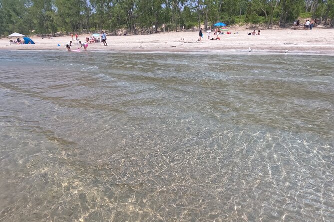 Beach Day Sandbanks Provincial Park - Wildlife Spotting