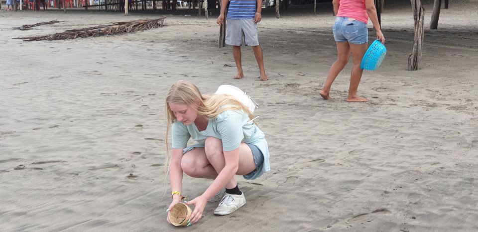 .Beach Horse Riding Turtle Release Crocodile Farm Experience - Full Description of the Tour