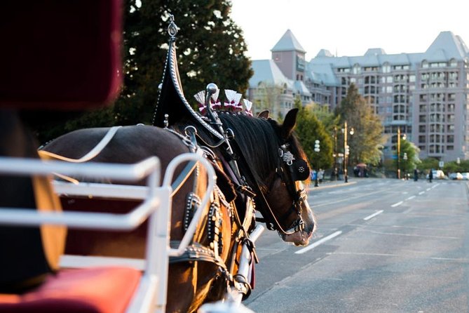 Beacon Hill Park Horse-Drawn Carriage Tour of Victoria - Cancellation Policy Overview