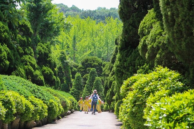 Beartree Park With Admission Ticket to Arboretum in Sejong - Sejong Location and Accessibility