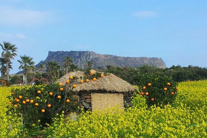 Beautiful Jeju Island Private UNESCO Day Tour - Safety Measures