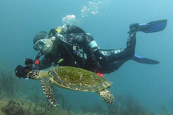 Become Certified Diver in 3 Days - PADI Open Water Diver Course on Koh Tao - Certification Process