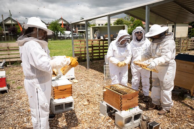 Beekeeping. Honey and Hive. - Additional Information for Visitors
