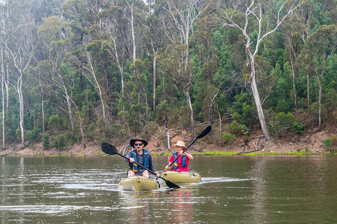 Bega River Kayaking Tour - Reviews