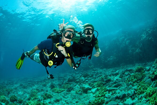 Beginner Scuba Diving Tour With Videos-Pcb - Meeting Details