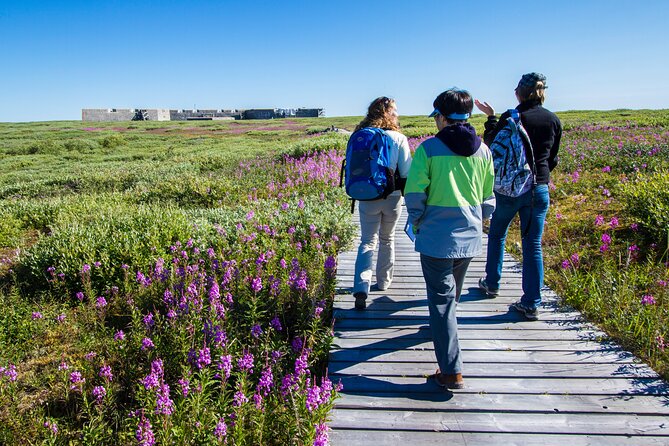 Belugas, Bears and Blooms in Churchill Manitoba - Explore Churchills Beauty