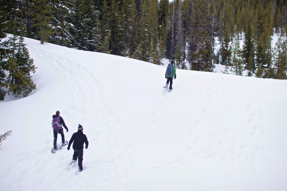 Bend: Half-Day Shoes, Brews, and Views Tour - Activity Description