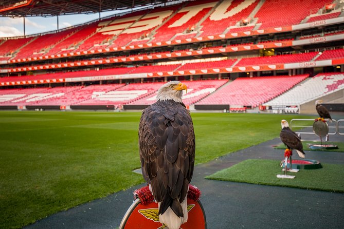 Benfica Stadium Tour and Museum Entrance Ticket - Ticket Inclusions and Confirmation