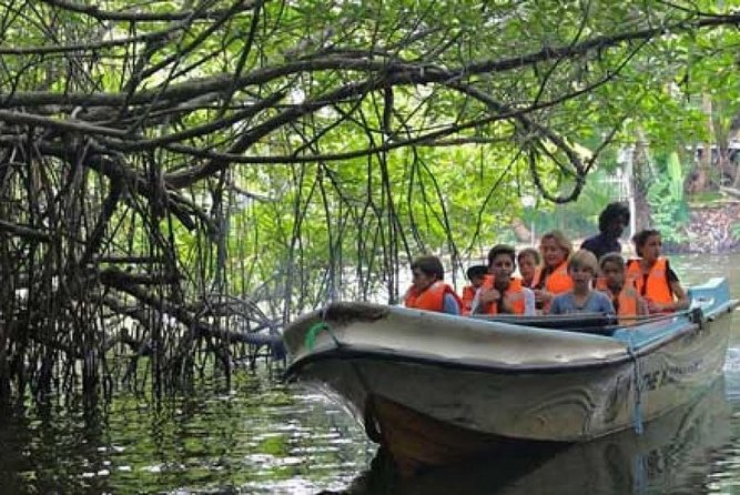 Bentota River Boat Safari With Private Boat Beruwala/Bentota/Kosgoda/Ahungalla - Sunflower Arts and Crafts Visit