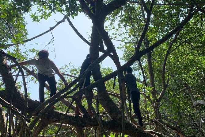 Bentota River Mangrove Forest Boat Trip (Private Tour)  - Kalutara - Common questions