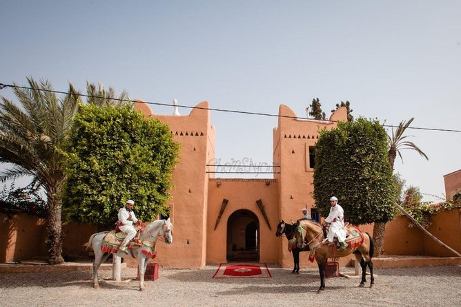 Berber Evening Dinner & Show Fantasia - Guest Experiences