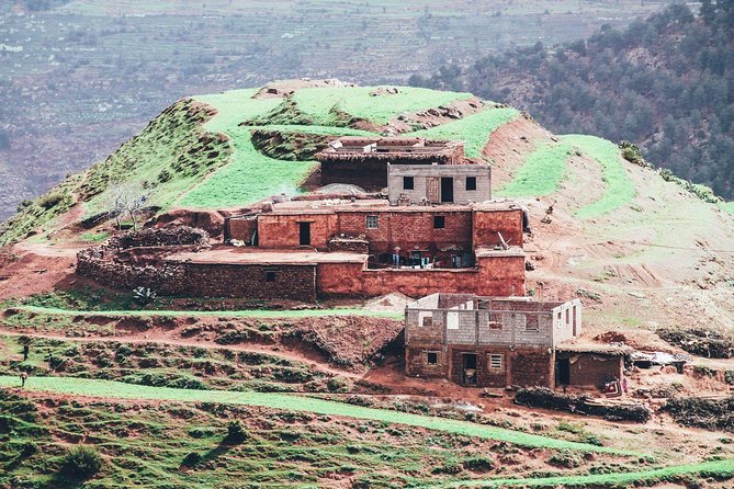 Berber Life Experience in the Atlas Mountains From Marrakech - Local Lunch