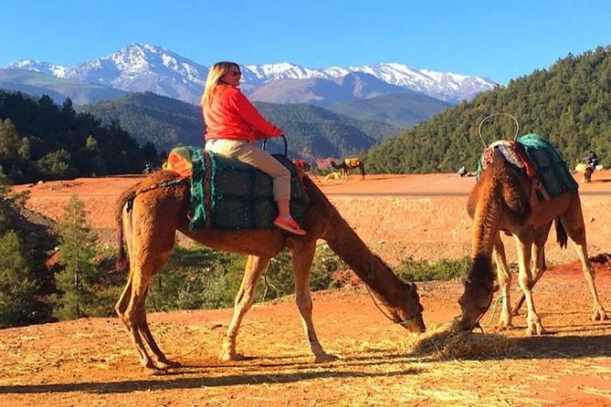 Berber Villages Day Trip & Camel Ride From Marrakech - Insider Tips