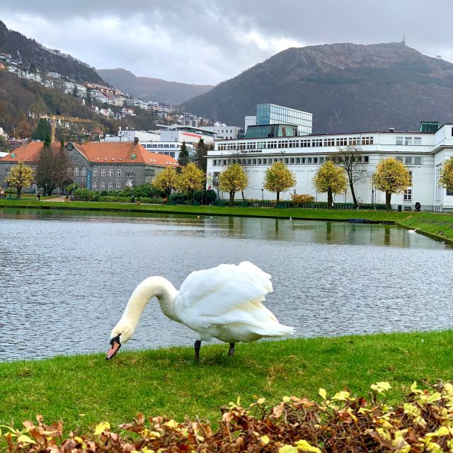 Bergen Discovery by Car - Hidden Gems and Local Favorites