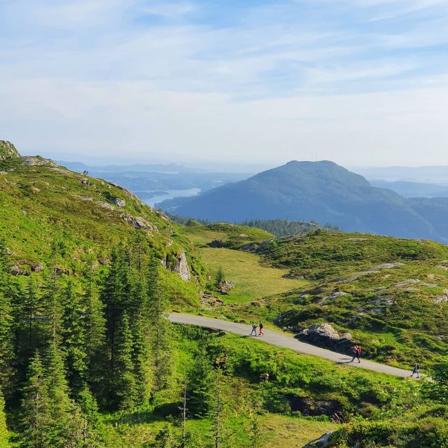 Bergen: Mountain Hike on Top of Bergen - Public Tour - Highlights of the Tour